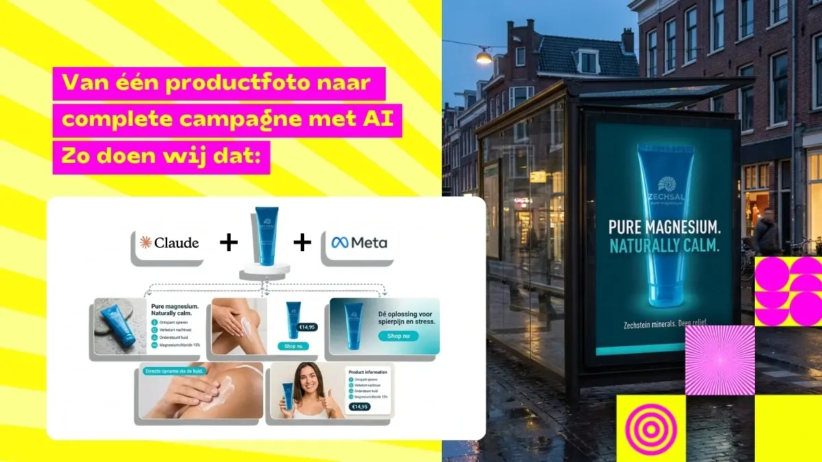 Overzicht 1200 x 675 met blokjes